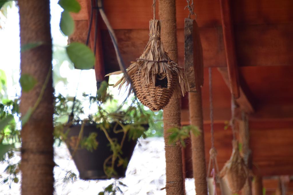 Silaa Cabana トリンコマリー エクステリア 写真